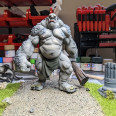 Picture of print of Stone Troll (pre-supported)