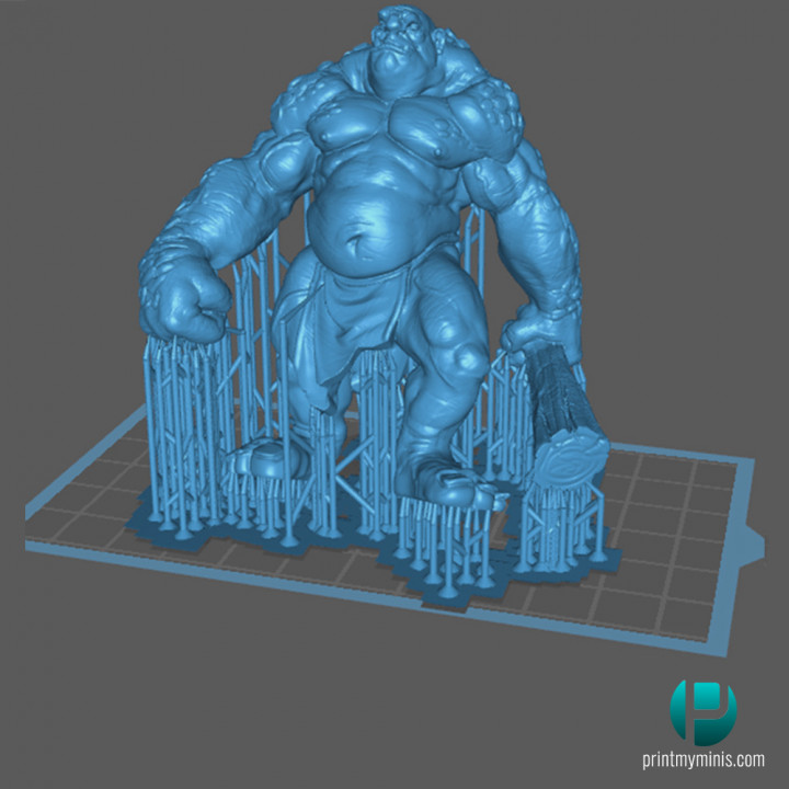 Stone Troll (pre-supported) image