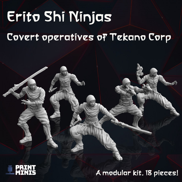 Modular Sci-Fi Ninjas - Tekano Corp Collection image