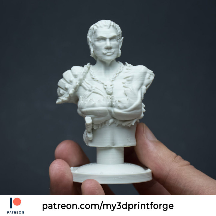 Orc Female Bust for FDM and Pre-supported for resin image