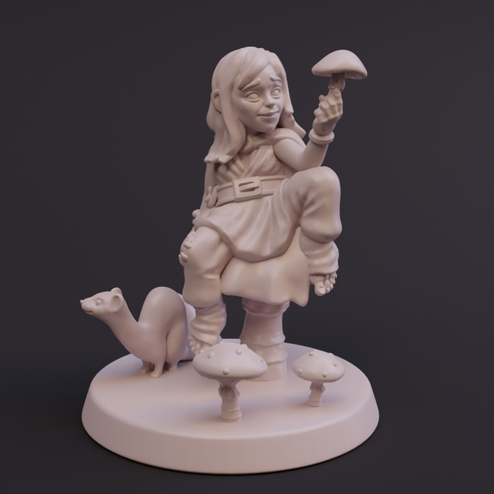 Female Halfling Druid - Tabletop Miniature - DnD image