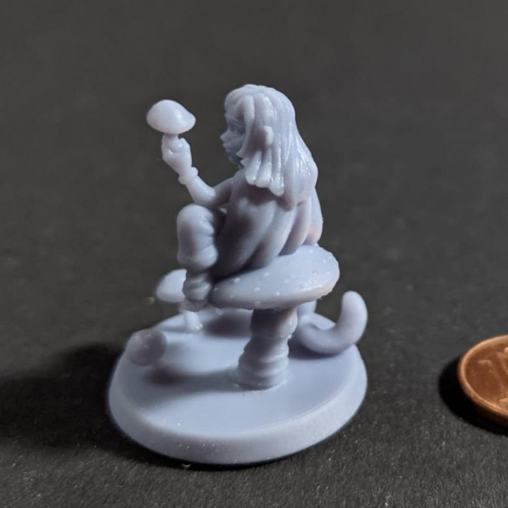 Female Halfling Druid - Tabletop Miniature - DnD image
