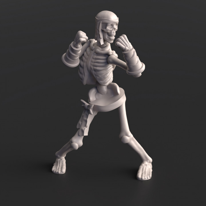 Skeleton  - Monk, Pre-Supported image