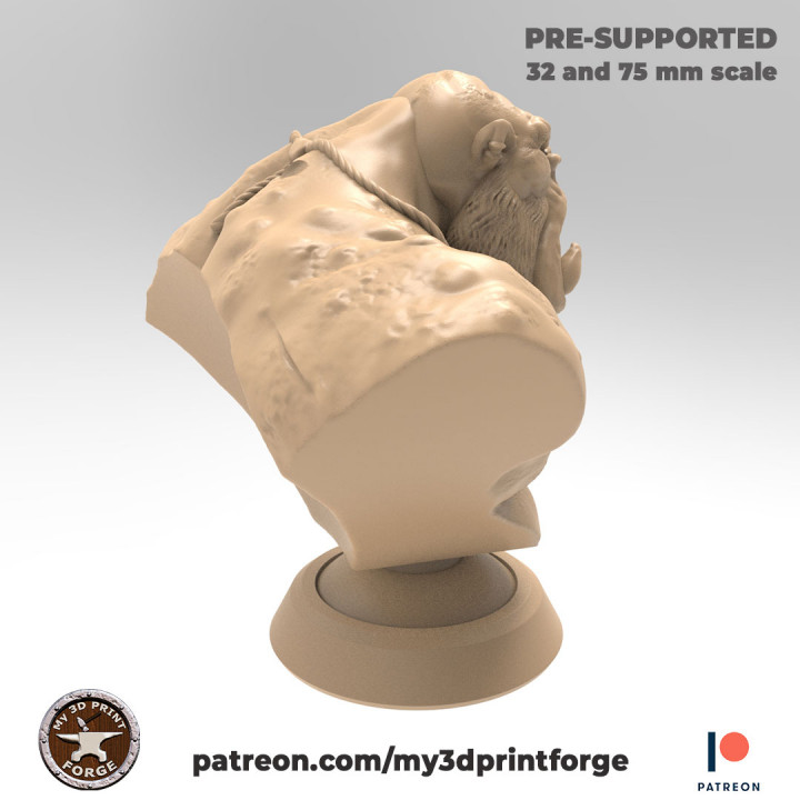 The Ogre BUST 75mm pre-supported for RESIN and FDM image
