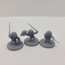 Picture of print of Mighty Owl Knights (3 poses)