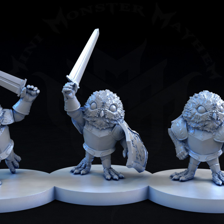 Mighty Owl Knights (3 poses) image