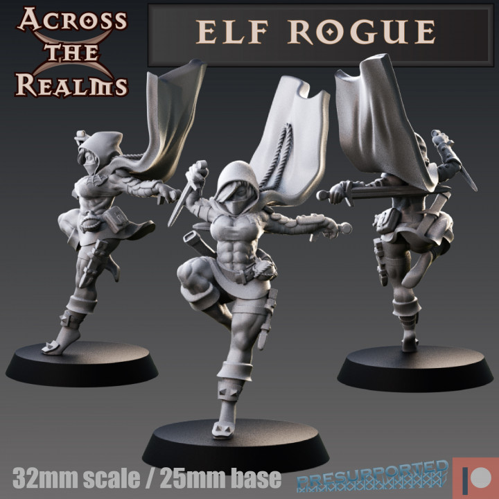 Elf Rogue image