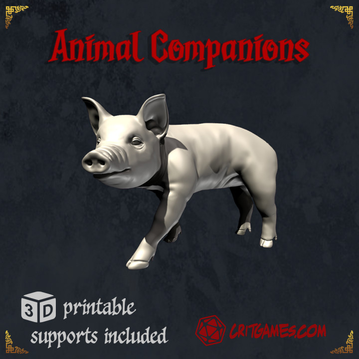 Pig Animal Companion image