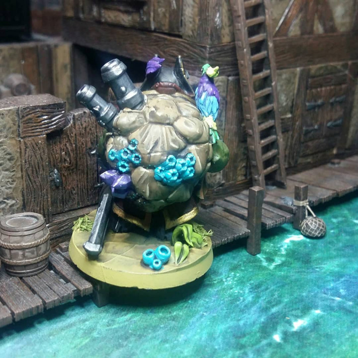 Tortle Pirate image