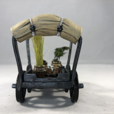 Picture of print of Potion Vendor Cart