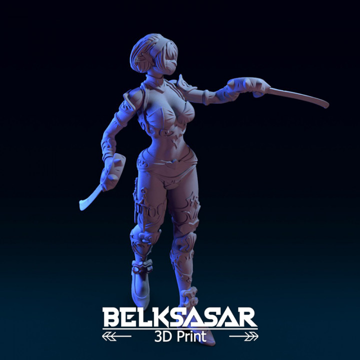 Female Elf Assassin normal and no dress  4 variants image