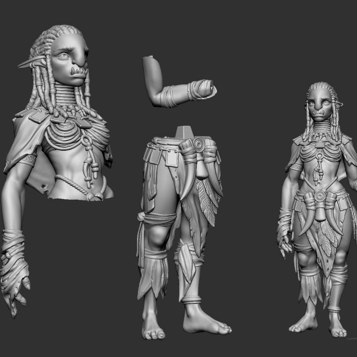 Troll female with spear 75mm pre-supported image