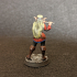 bard elf with flute print image