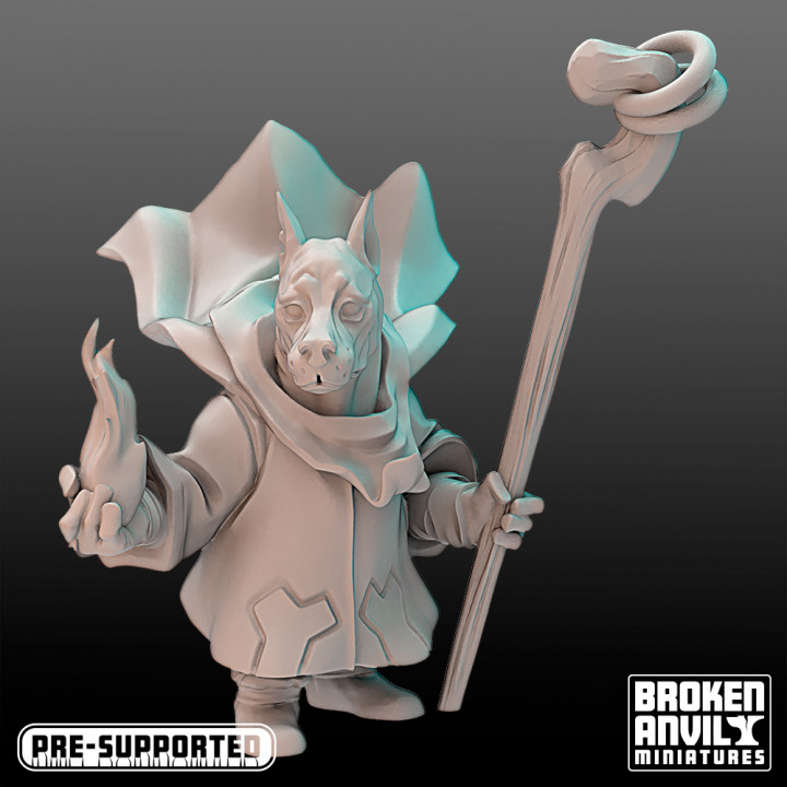 3D Printable Barkonian Dob Wizard by Broken Anvil Miniatures