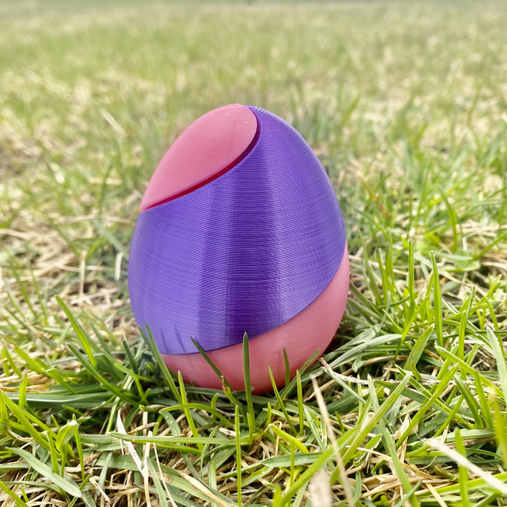 Twisted Easter Egg (2 Color) image