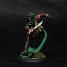 Picture of print of The Elf thief