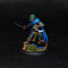 Picture of print of The Orc thief