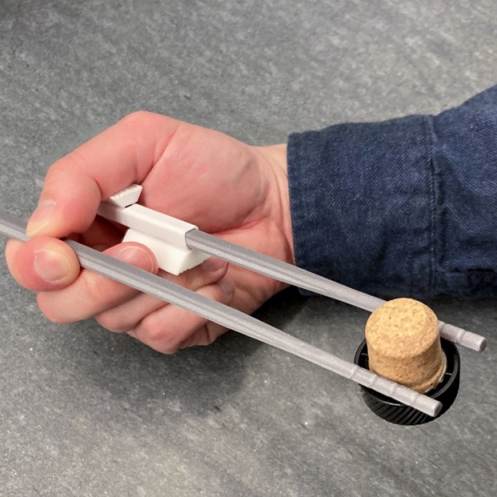 Model B2 Chopstick Buddies: Two-piece image