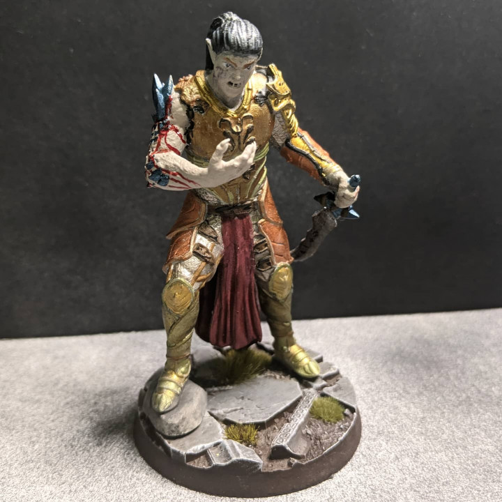 3D Print of Champion Of The Talon Ash of Goltia Da kat.paints.the.world