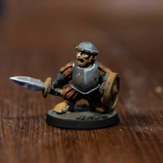 Picture of print of Halfling with Sword and Shield (pre supported)