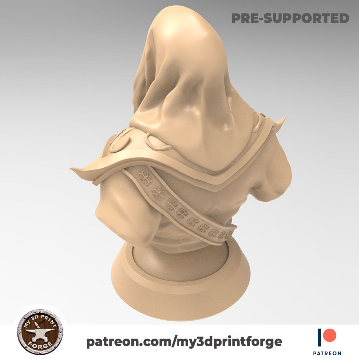 AZIR The Wind MAGE BUST 75mm pre-supported image