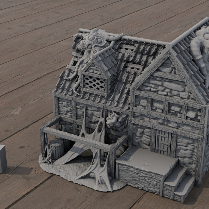 Infested Medieval House image