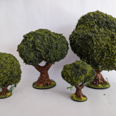 Picture of print of Voronoi Trees (Set 1)