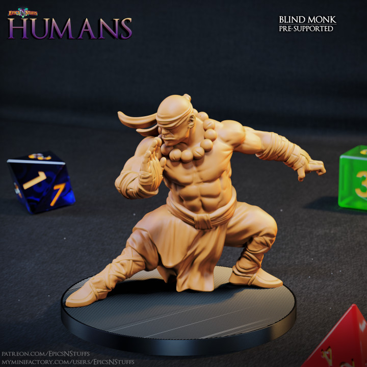 Blind Monk Miniature - Pre-Supported image