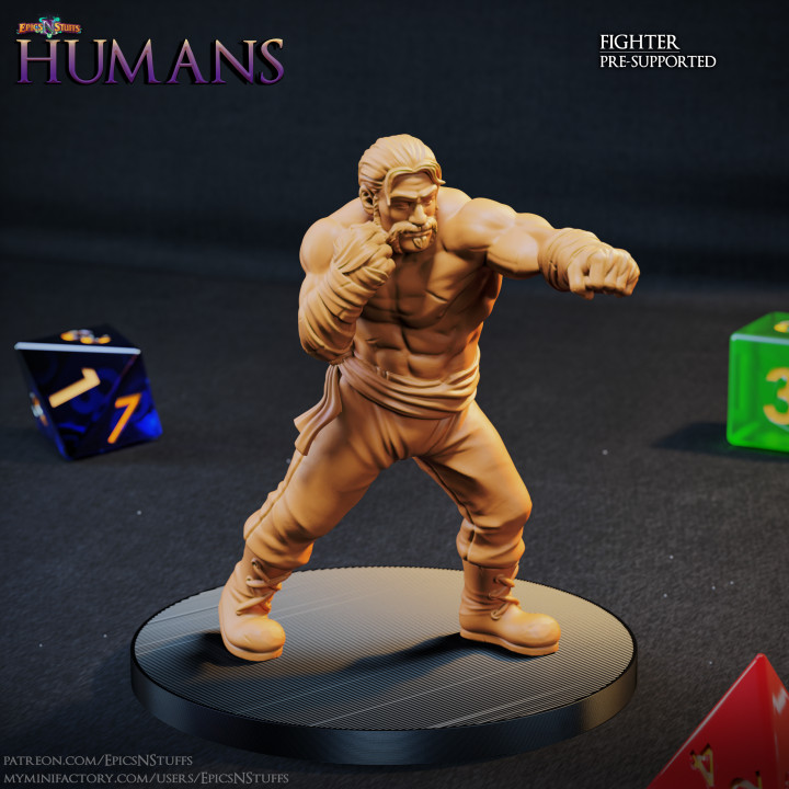Human Fighter 1A Miniature - Pre-Supported image