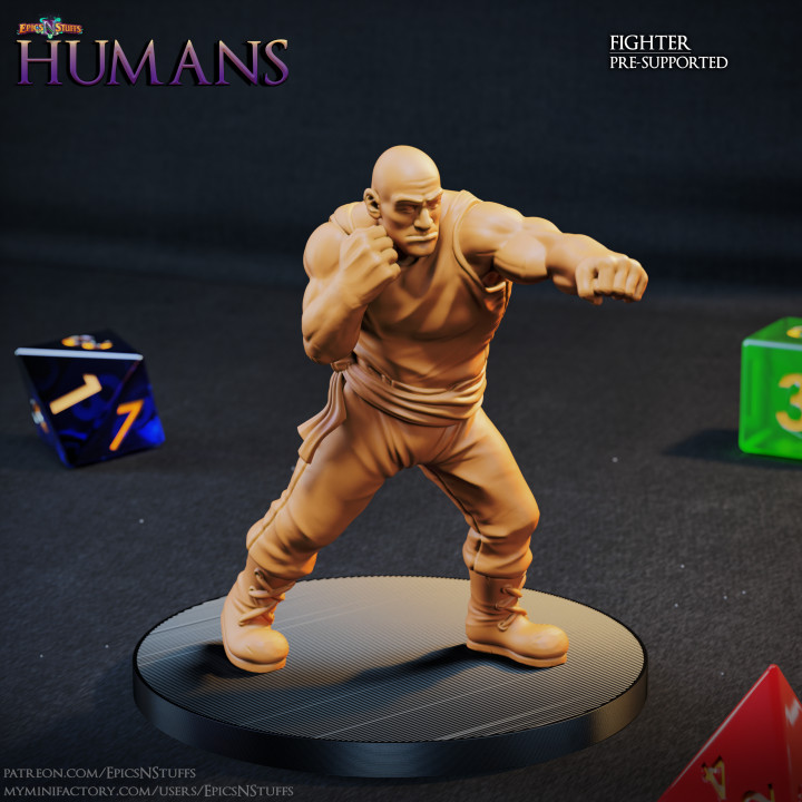 Human Fighter 1B Miniature - Pre-Supported image
