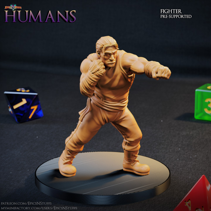 Human Fighter 1C Miniature - Pre-Supported image