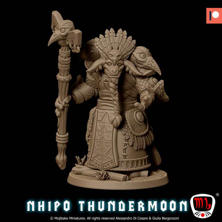 Nihpo Thundermoon, the druid (Pre-supported) image