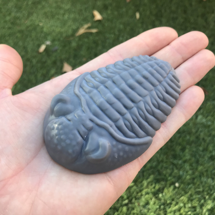 Trilobite for Sand Casting  │ Metal Casting  │ Concrete Casting image