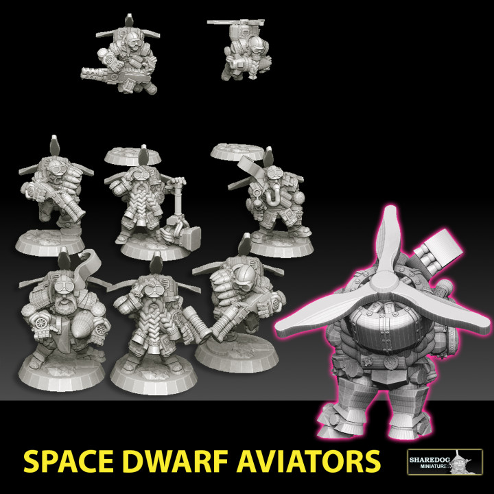 Space Dwarf Aviators image