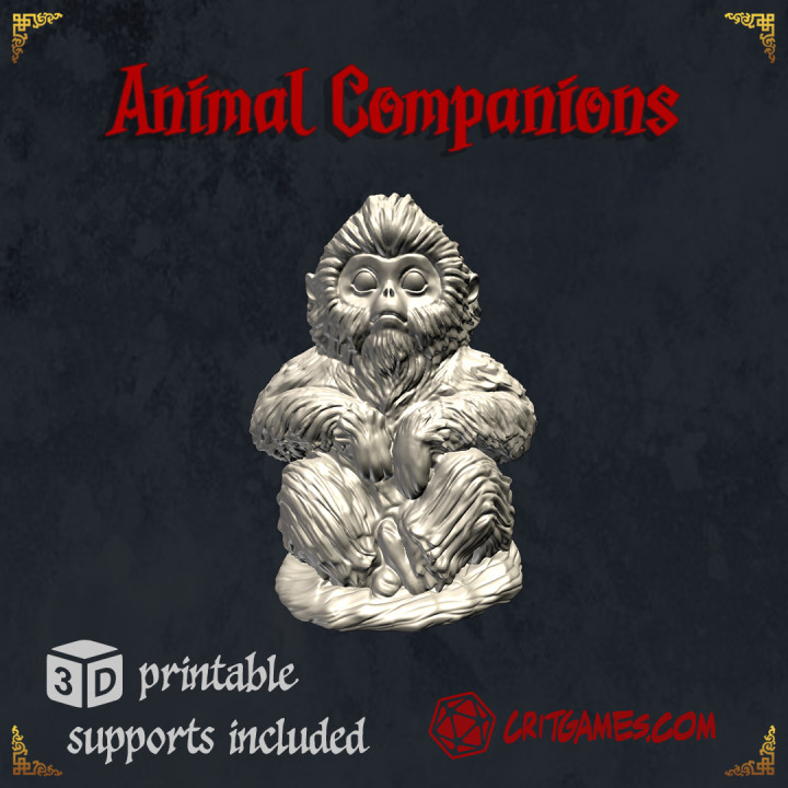 Monkey Animal Companion image