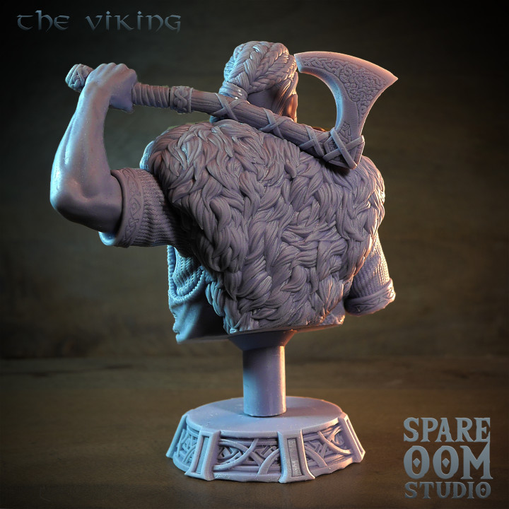 The Viking image