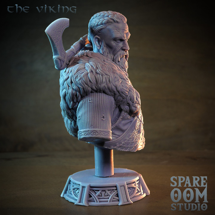 The Viking image