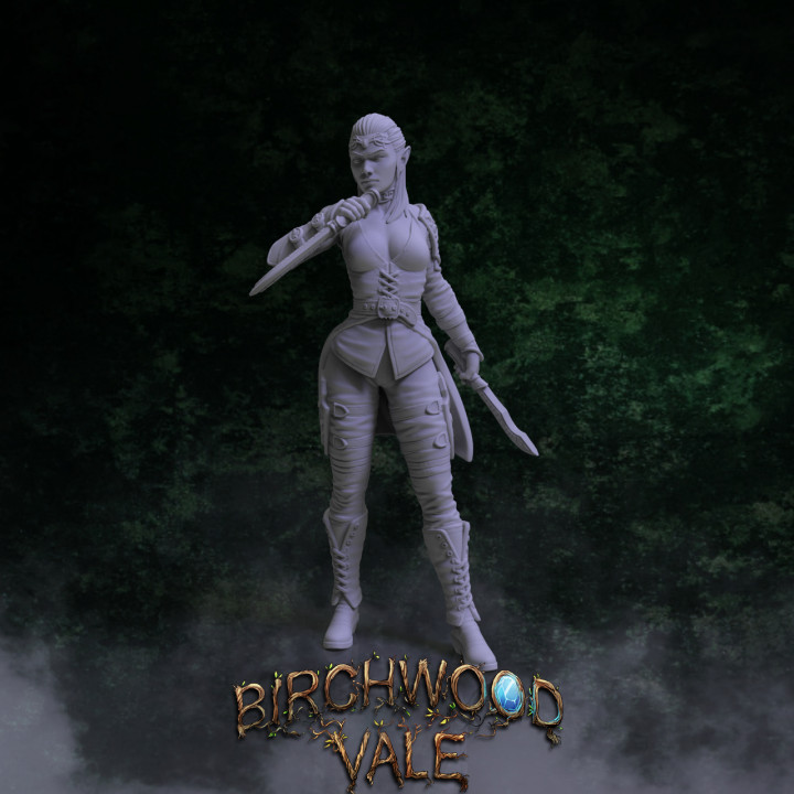 Birchwood Vale Heroes Reyleth's Cover