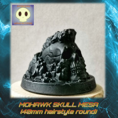 Picture of print of Elvis Skull Mesa (40mm round)