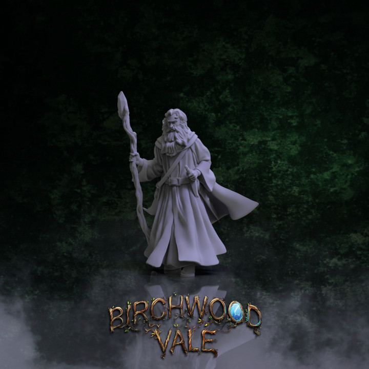 Birchwood Vale Heroes Tim the Enchanter's Cover
