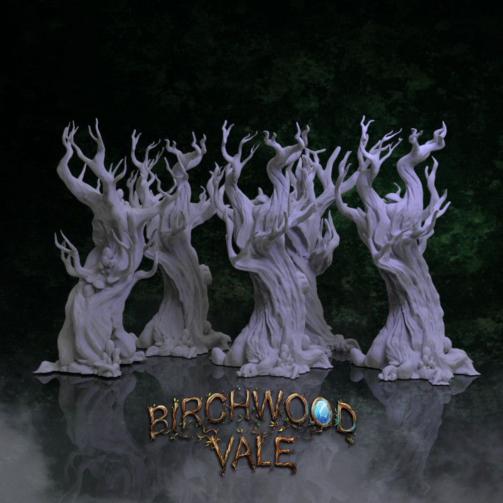 Birchwood Vale Ancient Forest's Cover