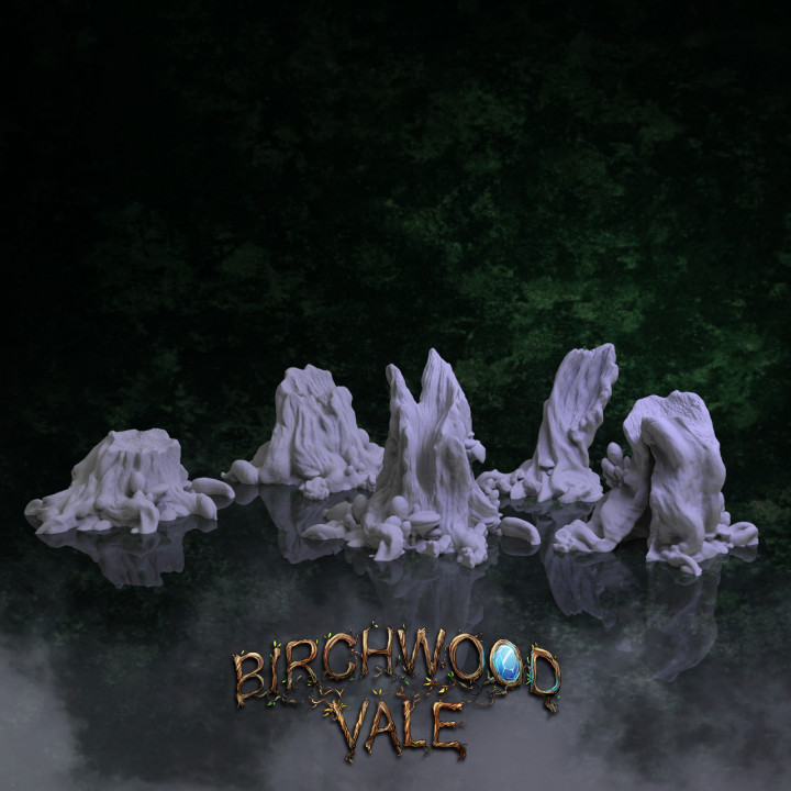 Birchwood Vale Ancient Stumps's Cover