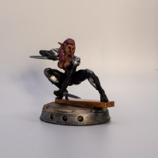 Picture of print of PINK SADNESS FEMALE ELF ASSASSIN
