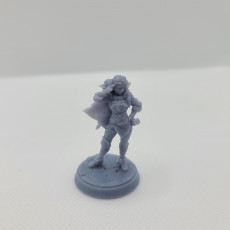 Picture of print of RPG - DnD Hero Characters - Titans of Adventure Set 11