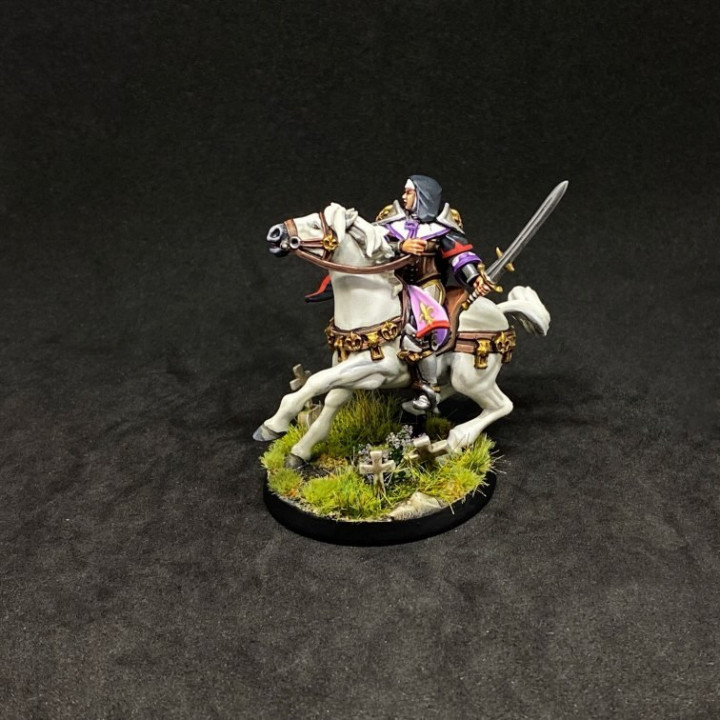 War Sister Light Cavalry image