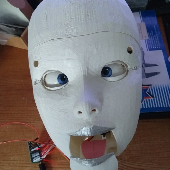 Robowaifu Animatronic Head (1:1 Human Sized) image