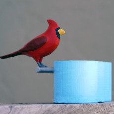 Picture of print of Cardinal Sharpie holder
