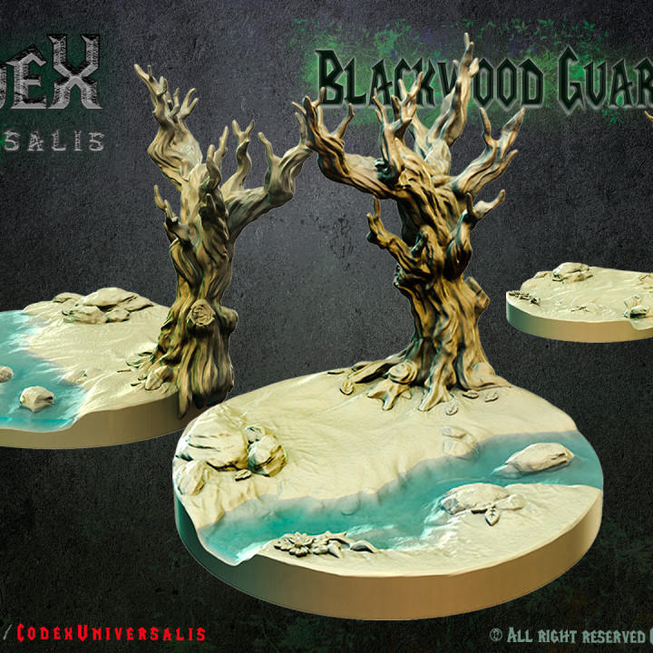 33 Bases and diorama, Blackwood Guardians set image