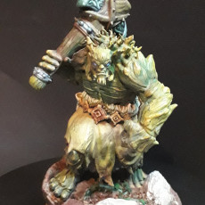 Picture of print of Birchwood Vale Adversaries The Forest Troll