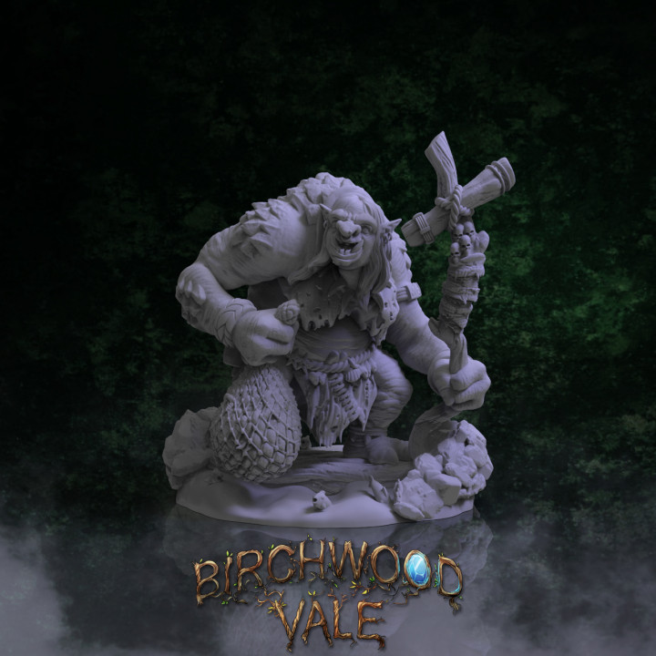 Birchwood Vale Adversaries The Little Troll Sister's Cover